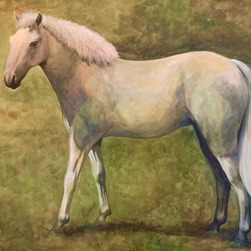 Rasa-Pavilanie-Oeuvre-Snaige-800