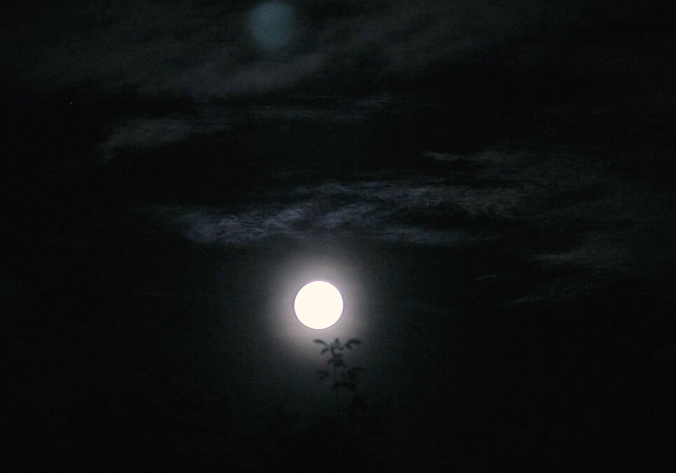 Ferme-abbundanza-2026