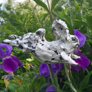 NO1-Alisa_Sushko-oeuvre-800